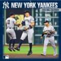 Journey into the Heart of Baseball: Exploring the New York Yankees Experience